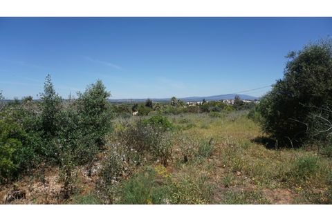 Helårsgrund i Luz, Faro, Luz - € 2.200.000 | Ref: 10307 - foto 3
