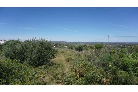 Helårsgrund i Luz, Faro, Luz - € 2.200.000 | Ref: 10307 - foto 17