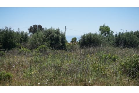 Helårsgrund i Luz, Faro, Luz - € 2.200.000 | Ref: 10307 - foto 21