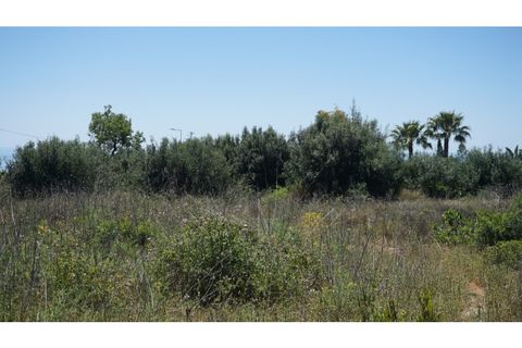 Helårsgrund i Luz, Faro, Luz - € 2.200.000 | Ref: 10307 - foto 22
