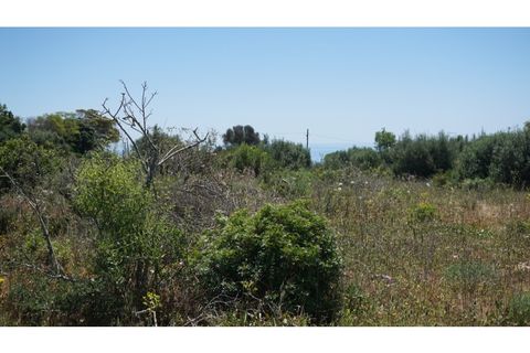 Helårsgrund i Luz, Faro, Luz - € 2.200.000 | Ref: 10307 - foto 29