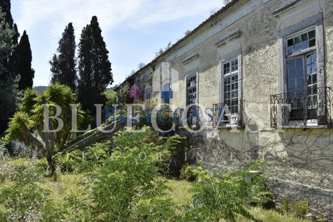Villa i Setubal, Setubal, Setubal - € 4.200.000 | Ref: PalaceteHilário_011/25 - foto 5