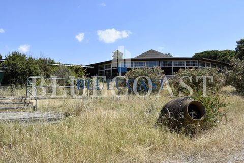 Villa i Setubal, Setubal, Setubal - € 4.200.000 | Ref: PalaceteHilário_011/25 - foto 8