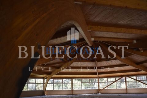 Villa i Setubal, Setubal, Setubal - € 4.200.000 | Ref: PalaceteHilário_011/25 - foto 9