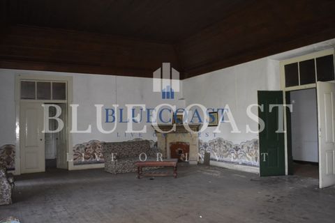 Villa i Setubal, Setubal, Setubal - € 4.200.000 | Ref: PalaceteHilário_011/25 - foto 11