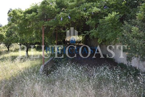 Villa i Setubal, Setubal, Setubal - € 4.200.000 | Ref: PalaceteHilário_011/25 - foto 13