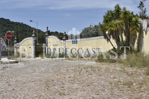 Villa i Setubal, Setubal, Setubal - € 4.200.000 | Ref: PalaceteHilário_011/25 - foto 14