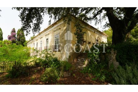 Villa i Setubal, Setubal, Setubal - € 4.200.000 | Ref: PalaceteHilário_011/25 - foto 1