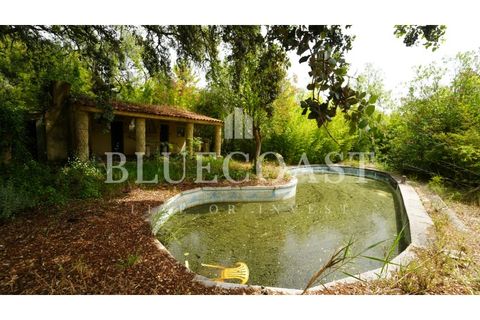 Villa i Setubal, Setubal, Setubal - € 4.200.000 | Ref: PalaceteHilário_011/25 - foto 2