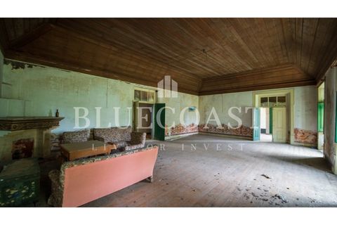 Villa i Setubal, Setubal, Setubal - € 4.200.000 | Ref: PalaceteHilário_011/25 - foto 16