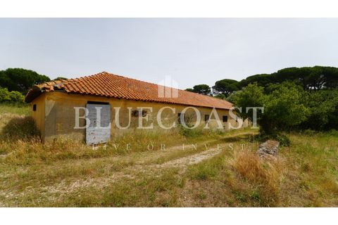 Villa i Setubal, Setubal, Setubal - € 4.200.000 | Ref: PalaceteHilário_011/25 - foto 18