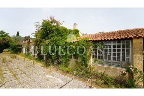 Villa i Setubal, Setubal, Setubal - € 4.200.000 | Ref: PalaceteHilário_011/25 - foto 19