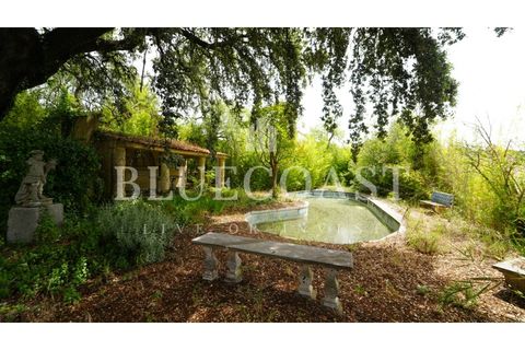 Villa i Setubal, Setubal, Setubal - € 4.200.000 | Ref: PalaceteHilário_011/25 - foto 20