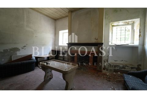 Villa i Setubal, Setubal, Setubal - € 4.200.000 | Ref: PalaceteHilário_011/25 - foto 21