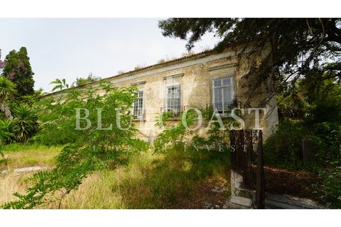 Villa i Setubal, Setubal, Setubal - € 4.200.000 | Ref: PalaceteHilário_011/25 - foto 22