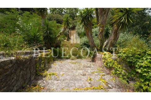Villa i Setubal, Setubal, Setubal - € 4.200.000 | Ref: PalaceteHilário_011/25 - foto 27