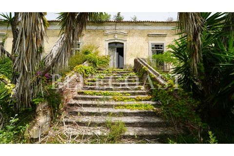 Villa i Setubal, Setubal, Setubal - € 4.200.000 | Ref: PalaceteHilário_011/25 - foto 28