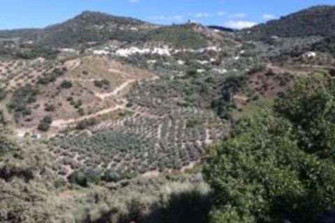 Cortijo i Iznajar, Cordoba, Iznajar - € 440.000 | Ref: ID3841 - foto 8
