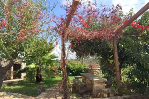 Landejendom i Cisternino, Brindisi, Cisternino - € 345.000 | Ref: 226 - foto 5