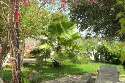Landejendom i Cisternino, Brindisi, Cisternino - € 345.000 | Ref: 226 - foto 11