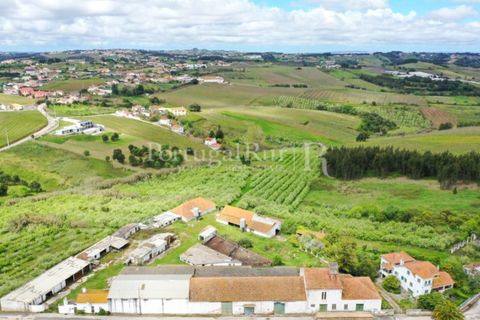Farm i Carvalhal, Leiria, Carvalhal - € 725.000 | Ref: 3226 - foto 4