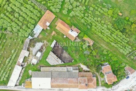 Farm i Carvalhal, Leiria, Carvalhal - € 725.000 | Ref: 3226 - foto 2