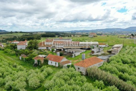 Farm i Carvalhal, Leiria, Carvalhal - € 725.000 | Ref: 3226 - foto 3