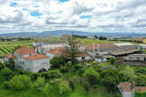 Farm i Carvalhal, Leiria, Carvalhal - € 725.000 | Ref: 3226 - foto 46