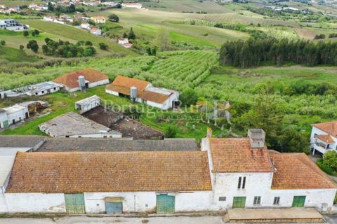 Farm i Carvalhal, Leiria, Carvalhal - € 725.000 | Ref: 3226 - foto 5