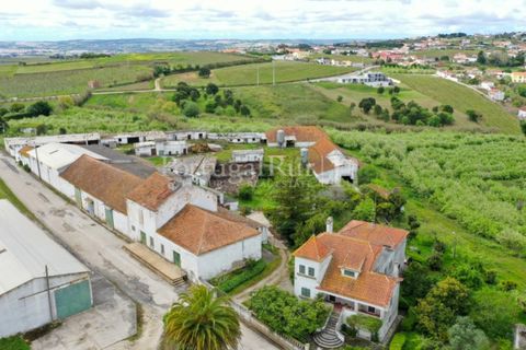 Farm i Carvalhal, Leiria, Carvalhal - € 725.000 | Ref: 3226 - foto 47