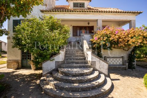 Farm i Carvalhal, Leiria, Carvalhal - € 725.000 | Ref: 3226 - foto 12