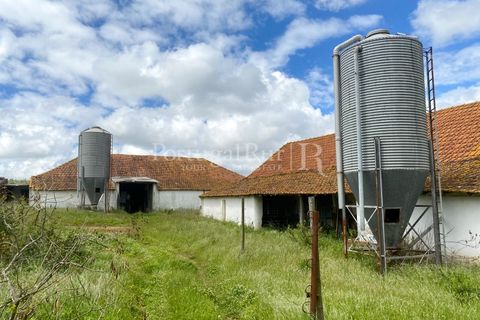 Farm i Carvalhal, Leiria, Carvalhal - € 725.000 | Ref: 3226 - foto 35