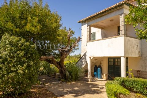 Farm i Carvalhal, Leiria, Carvalhal - € 725.000 | Ref: 3226 - foto 36