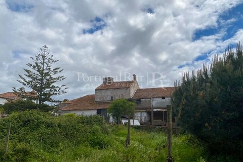 Farm i Carvalhal, Leiria, Carvalhal - € 725.000 | Ref: 3226 - foto 38