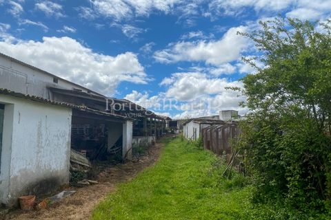 Farm i Carvalhal, Leiria, Carvalhal - € 725.000 | Ref: 3226 - foto 39