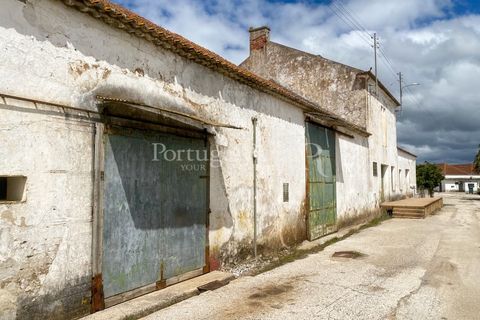 Farm i Carvalhal, Leiria, Carvalhal - € 725.000 | Ref: 3226 - foto 40