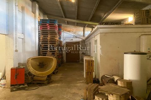 Farm i Carvalhal, Leiria, Carvalhal - € 725.000 | Ref: 3226 - foto 42