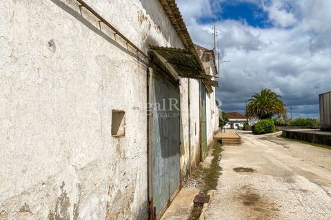 Farm i Carvalhal, Leiria, Carvalhal - € 725.000 | Ref: 3226 - foto 44