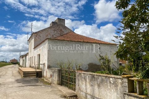 Farm i Carvalhal, Leiria, Carvalhal - € 725.000 | Ref: 3226 - foto 45