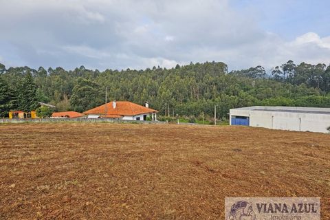 Helårsgrund i Viana do Castelo, Viana do Castelo, Viana do Castelo - € 140.000 | Ref: 1988 - foto 3