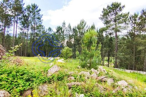 Helårsgrund i Valenca, Viana do Castelo, Valenca - € 65.000 | Ref: 161981 - foto 5