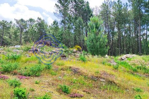 Helårsgrund i Valenca, Viana do Castelo, Valenca - € 65.000 | Ref: 161981 - foto 6