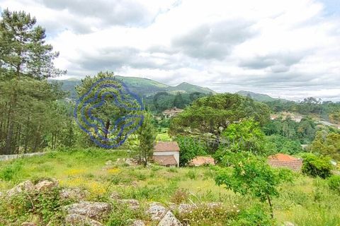 Helårsgrund i Valenca, Viana do Castelo, Valenca - € 65.000 | Ref: 161981 - foto 9