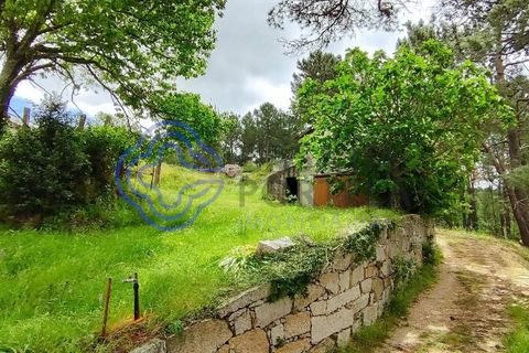 Helårsgrund i Valenca, Viana do Castelo, Valenca - € 65.000 | Ref: 161981 - foto 12