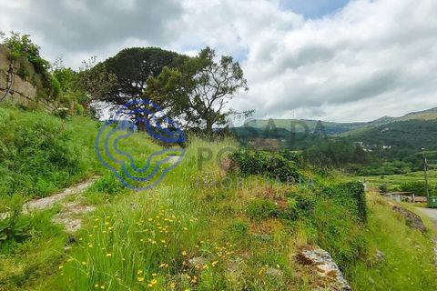 Helårsgrund i Valenca, Viana do Castelo, Valenca - € 65.000 | Ref: 161981 - foto 13