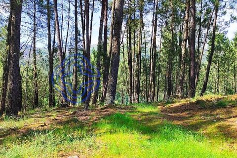 Helårsgrund i Valenca, Viana do Castelo, Valenca - € 65.000 | Ref: 161981 - foto 14