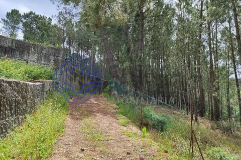 Helårsgrund i Valenca, Viana do Castelo, Valenca - € 65.000 | Ref: 161981 - foto 16