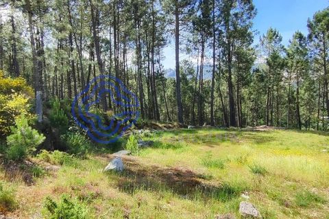 Helårsgrund i Valenca, Viana do Castelo, Valenca - € 65.000 | Ref: 161981 - foto 18