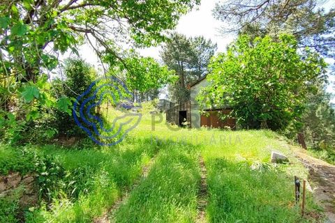 Helårsgrund i Valenca, Viana do Castelo, Valenca - € 65.000 | Ref: 161981 - foto 19