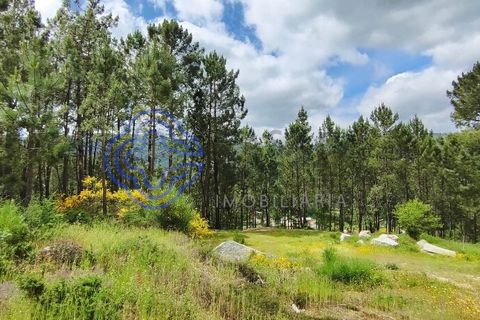 Helårsgrund i Valenca, Viana do Castelo, Valenca - € 65.000 | Ref: 161981 - foto 20
